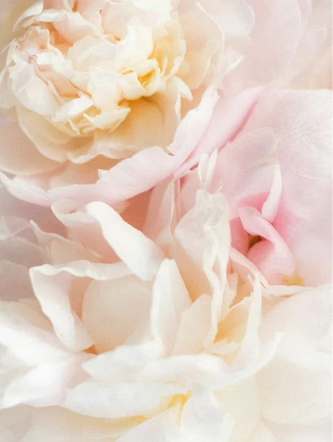 Klysee Vegan Gentle Baby Shampoo 400ml